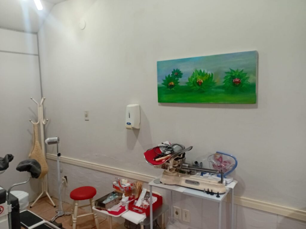 WhatsApp Image 2026-02-18 at 16.39.29